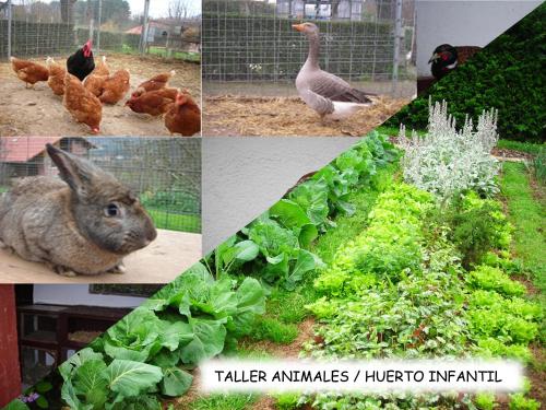a collage of pictures of animals and plants at Albergue Areitz Soroa in Arce