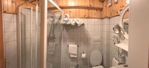 Un baño con ducha, inodoro y lavabo. en Residenza Grazia, en Madonna di Campiglio