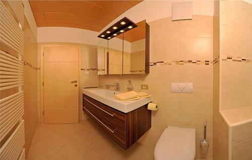 La salle de bains est pourvue de toilettes, d'un lavabo et d'une douche. dans l'établissement Villa Tanja, à Castelrotto