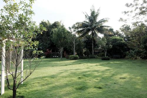 a large green yard with a palm tree in the background at Khao Yai Cottage in Mu Si