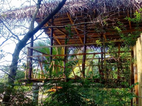 a wooden building with plants on the side of it at Ancient Gardens - Villa in Pinnawala