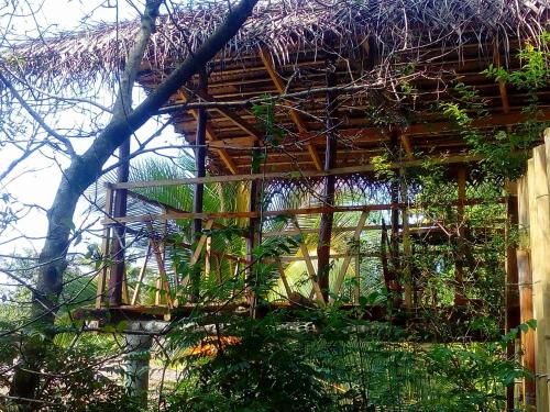 Ancient Gardens - Villa – Photos 3