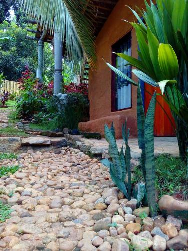 Ancient Gardens - Villa – Photos 4