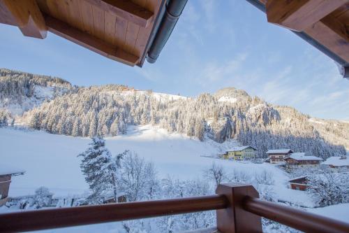 クライナルにあるHotel Ennskraxblickのキャビンから雪に覆われた山の景色を望めます。