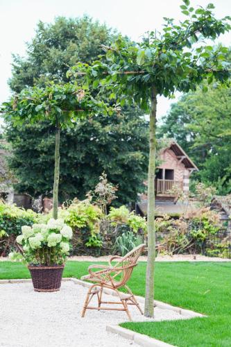 a bench and a tree in a garden at Hôtel-Restaurant Bel Ami in Pacy-sur-Eure