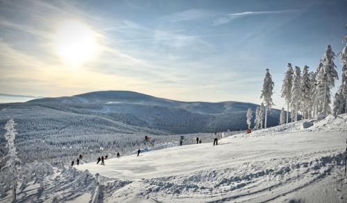 Indywidualne Gospodarstwo Rolne Agroturystyka Gościniec Pod Czeremchą Małgorzata Szczepanek