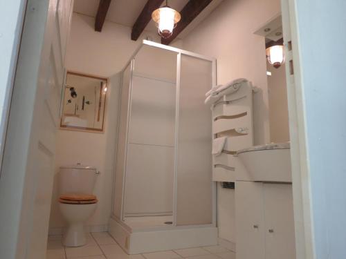 ein Bad mit einer Dusche, einem WC und einem Waschbecken in der Unterkunft Chambres d'hôtes du Moulin de la Chaussee in Saint-Denis-dʼOrques