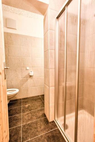 a bathroom with a shower and a toilet at Innertrein in Cadipietra
