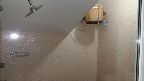 a bathroom with a shower with a ceiling at Karpatska Mria in Yaremche