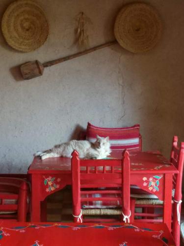 Ein Bett oder Betten in einem Zimmer der Unterkunft Kasbah Timdaf