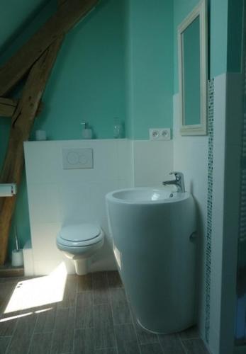 une salle de bain avec des toilettes blanches et un lavabo dans l'établissement La maison des fleurs, à Saint-Senoch