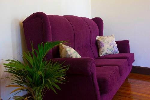 a purple chair with pillows next to a plant at Divina Casona Posada Boutique in San Rafael