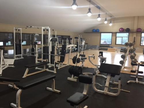 Fitness centrum a/nebo fitness zařízení v ubytování Spruce Hill Resort & Spa