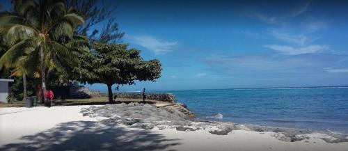 a beach with palm trees and a body of water at Pension TE MITI - PLAGE-BEACH 200m - Mahana Parc & Vaiava Beach pk18 - B&B CHAMBRES ou DORTOIR in Punaauia