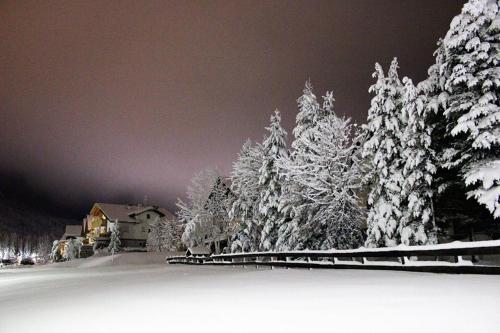 a snow covered yard with trees and a house at Ciasa Gabriel in Colfosco
