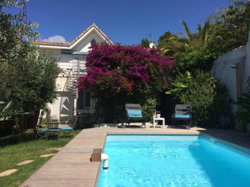 The swimming pool at or close to Chambre d'hôtes Habitation Bougainville