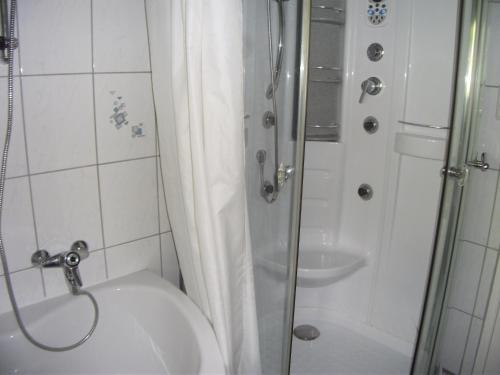 y baño con ducha, aseo y lavamanos. en Ferienwohnung Krottensee, en Gmunden