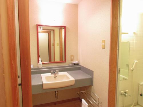 a bathroom with a sink and a mirror at Jakomaru Park Tsuda in Sanuki