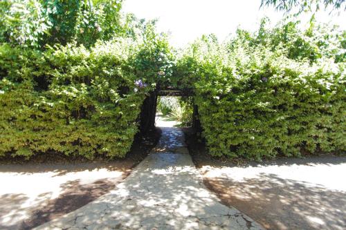Un jardín fuera de Lukenya Getaway