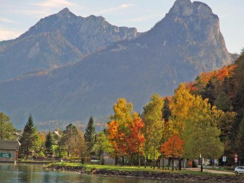 a group of trees next to a river with a mountain at Haus Seehof in Sankt Gilgen