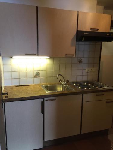 Kuchyňa alebo kuchynka v ubytovaní Landhaus Engadin