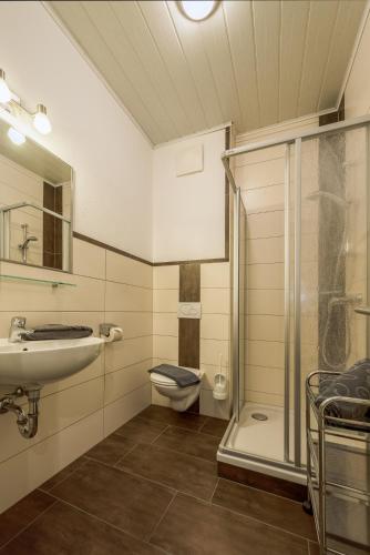 a bathroom with a toilet and a sink and a shower at Maisonette Haus Amade in Flachau