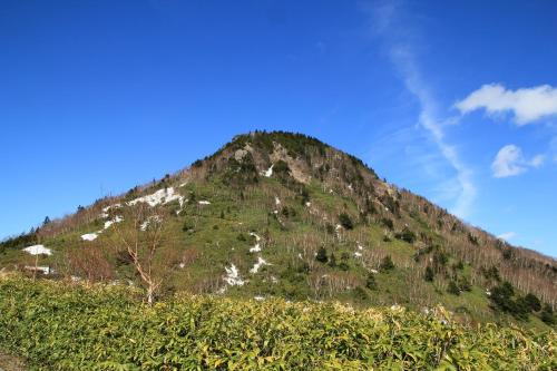 a mountain with grass and trees on it at Spa Lodge Redwood Inn in Takayama