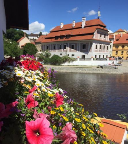a bunch of flowers next to a body of water at Pension Wok in Český Krumlov