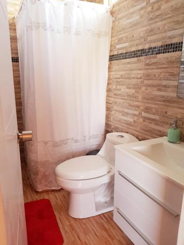 a bathroom with a white toilet and a sink at Cabañas Agua Viva in Puerto Montt