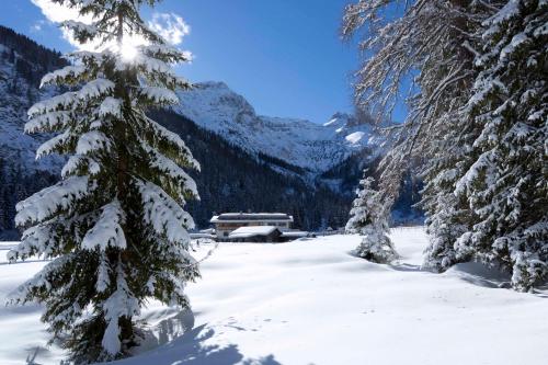 a snow covered tree with a house in the background at Alpengasthof Gern Alm in Pertisau