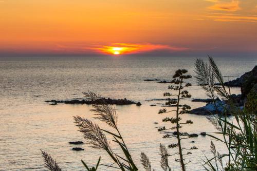 a sunset over the ocean with a small island in the water at Hotel Ferretti in Diamante