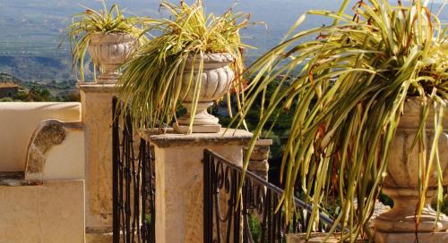 a group of potted plants in vases on a fence at Vecchia Dimora Resort in Centuripe