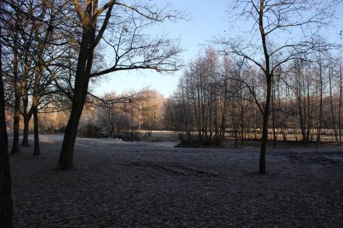 park z drzewami i śniegiem na ziemi w obiekcie B&B Landgoed Bergerven w mieście Horn