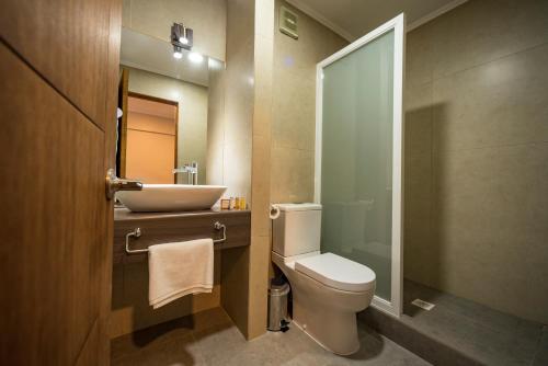 a bathroom with a toilet and a sink at Hotel Insigne in Talca