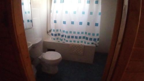ein Badezimmer mit Toilette und Dusche in der Unterkunft Rocas del Pirata in Quintero