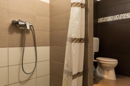 uma casa de banho com uma cortina de chuveiro e um WC em Reitz Vendégház em Villány