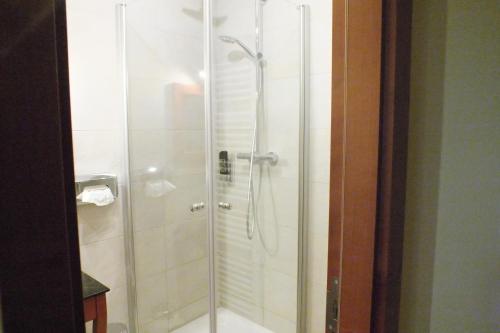a shower with a glass door in a bathroom at Pension Riverside in Leverkusen Hitdorf am Rhein - Zentral an der A1 und 59 in Leverkusen