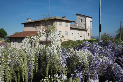Zahrada ubytování Casa Torre Allera