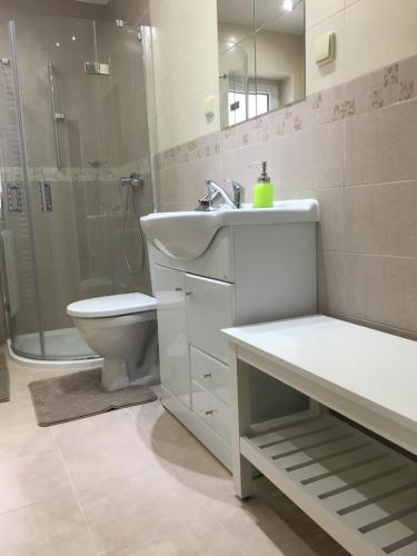 Guest House LUFT Sněžníkにあるバスルーム