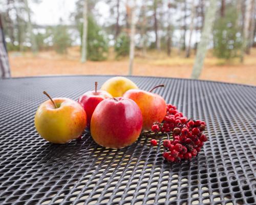 a group of apples and berries on a table at Norrö Holiday Village in Bamböle