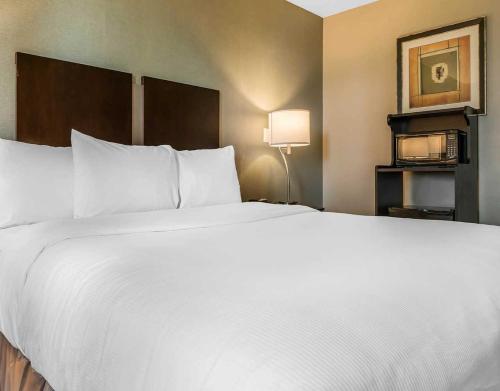 Katil atau katil-katil dalam bilik di Clarion Inn Belle Vernon