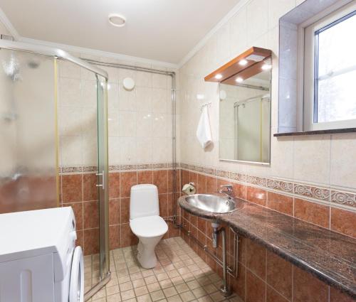 La salle de bains est pourvue de toilettes, d'un lavabo et d'une douche. dans l'établissement Norrö Holiday Village, à Bamböle