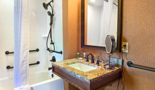 a bathroom with a sink and a mirror and a tub at Amicalola Falls State Park and Lodge in Dawsonville