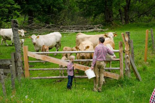 a man and a boy looking at cows behind a fence at Dicktlhof in Ebene Reichenau