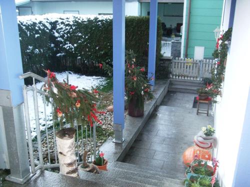 a porch with christmas trees and potted plants at Ferienwohnung Örtl 7 in Obernzell