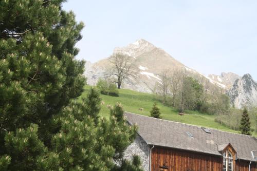 a barn with cows grazing in a field and mountains at Hotel Restaurant Schönau in Wildhaus