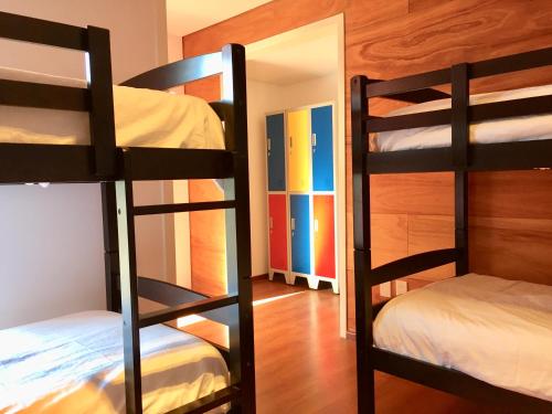 Ένα ή περισσότερα κρεβάτια σε δωμάτιο στο Circus Hostel & Hotel Montevideo