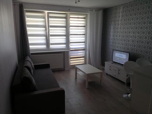 Televízia a/alebo spoločenská miestnosť v ubytovaní Nordic Apartamenty Suraska