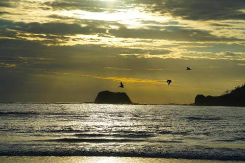 two birds flying in the sky over the ocean at Villas Welcome to Heaven in Carrillo