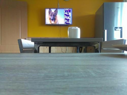 una tv su un muro con un cane sopra di Brīvdienu māja 1 a Kurmēni